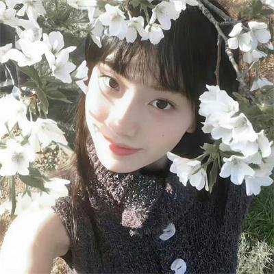 鲨海